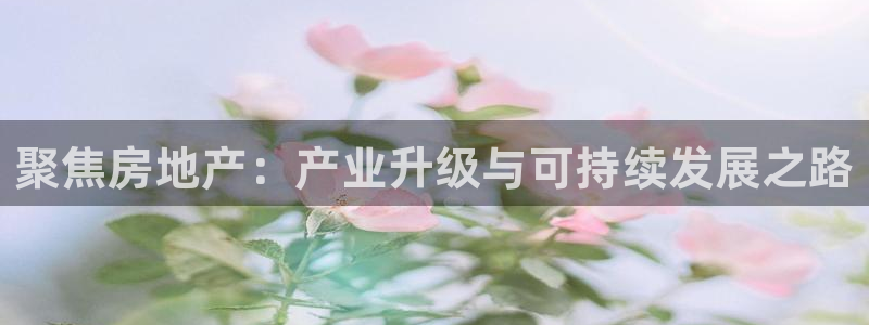 万向娱乐技术