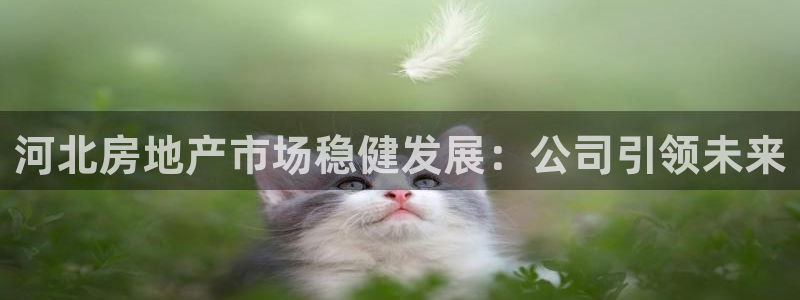 万向娱乐技术
