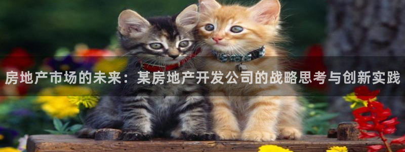 万向娱乐技术