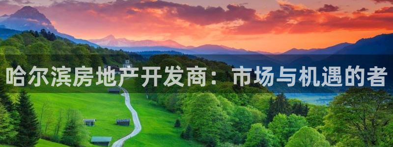 万向娱乐平台下载安装手机版