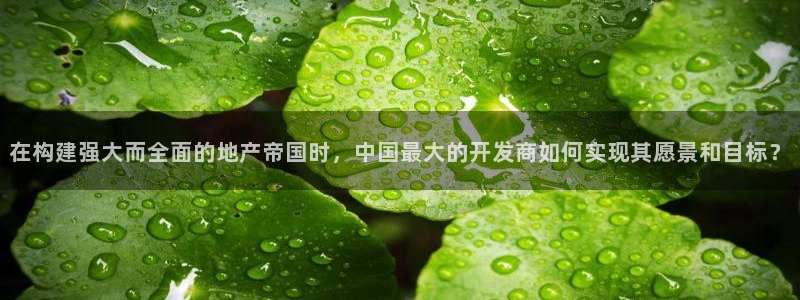 万向娱乐平台代理多少钱一年