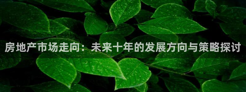 万向娱乐总代