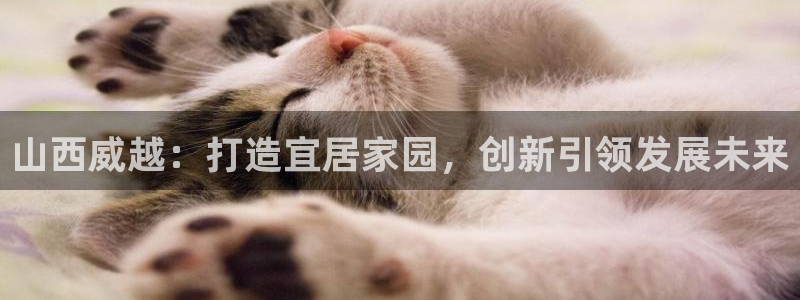 万向娱乐怎么样